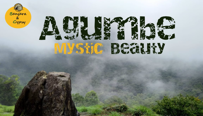 Agumbe in Monsoons