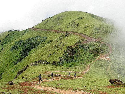 Celebrate Christmas in Coorg