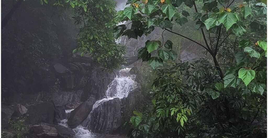 Charmadi Ghats viewpoint